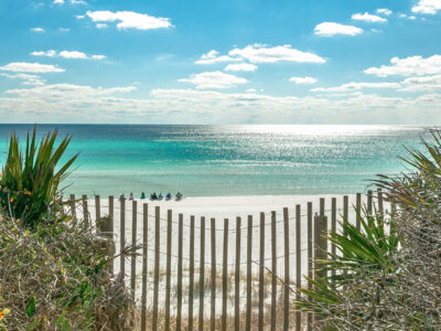 Octopus's Garden NatureWalk 30A